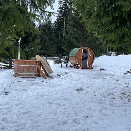 Hotel Floare De Colt Mînăstirea Humorului Kültér fotó