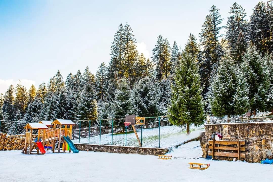 Hotel Floare De Colt Mînăstirea Humorului Kültér fotó