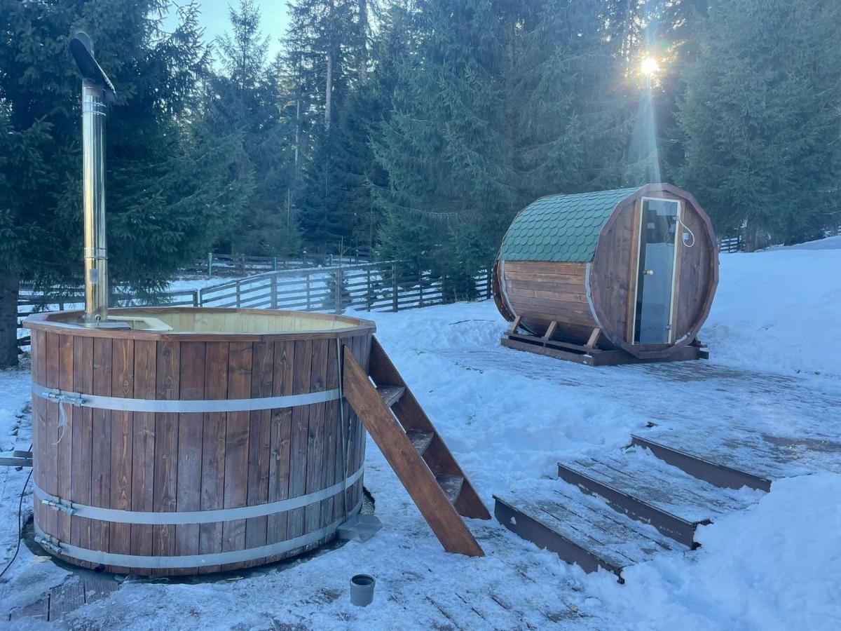 Hotel Floare De Colt Mînăstirea Humorului Kültér fotó