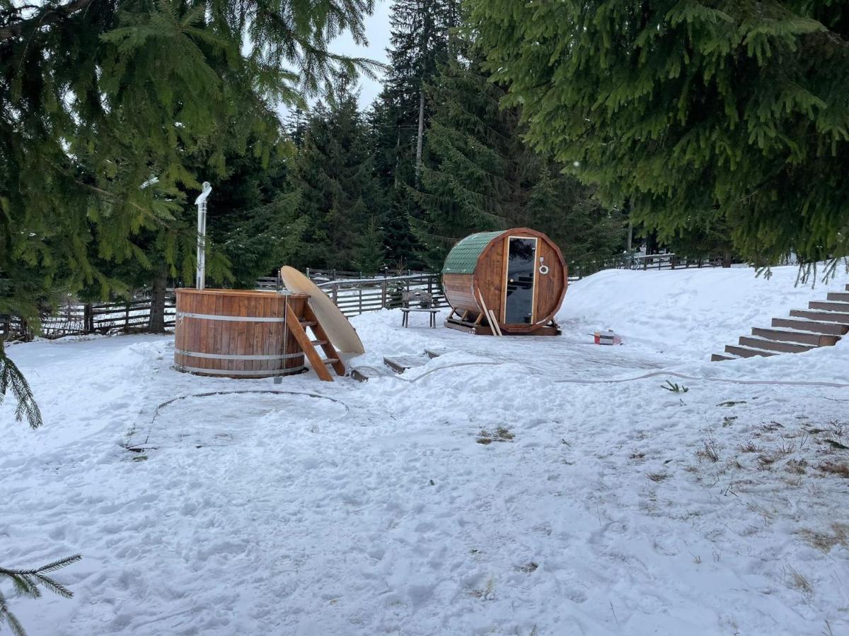 Hotel Floare De Colt Mînăstirea Humorului Kültér fotó