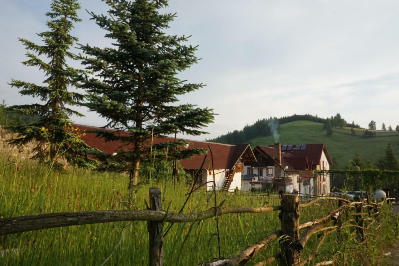 Hotel Floare De Colt Mînăstirea Humorului Kültér fotó