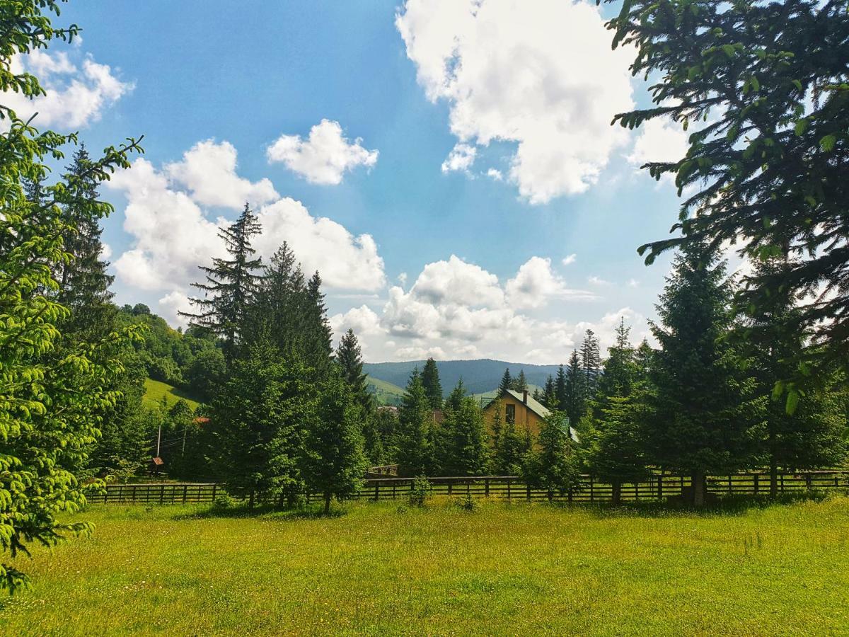 Hotel Floare De Colt Mînăstirea Humorului Kültér fotó